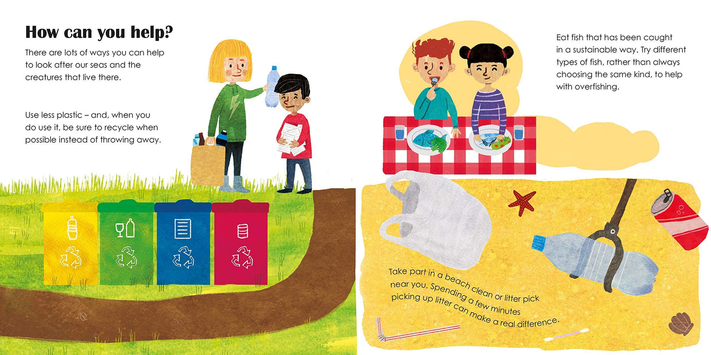 SEAS: A lift-the-flap eco book - Ladybird Eco Books