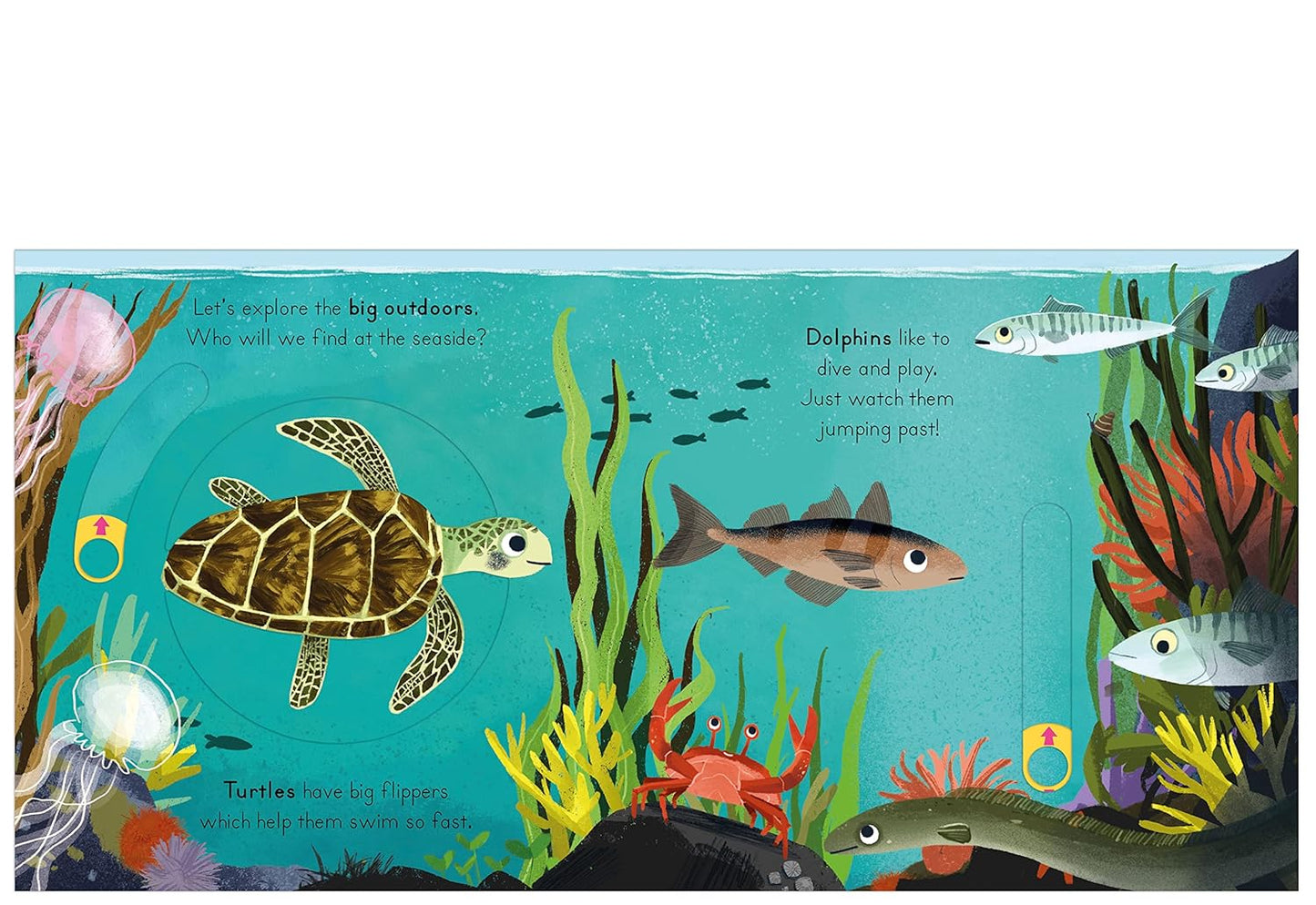 Big Outdoors for Little Explorers: Seaside