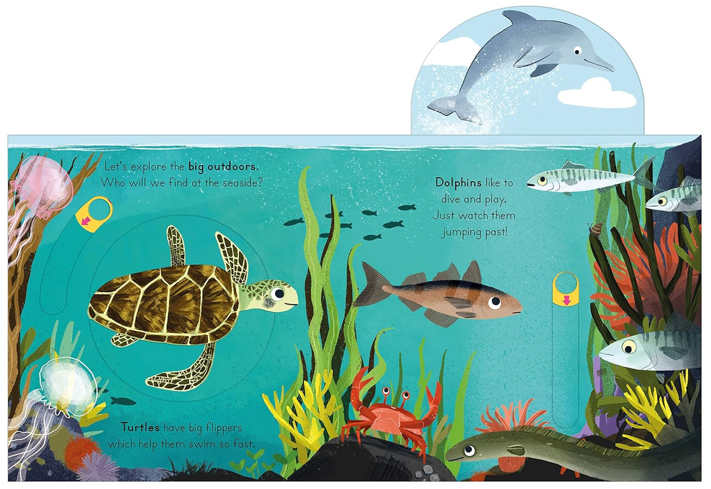 Big Outdoors for Little Explorers: Seaside
