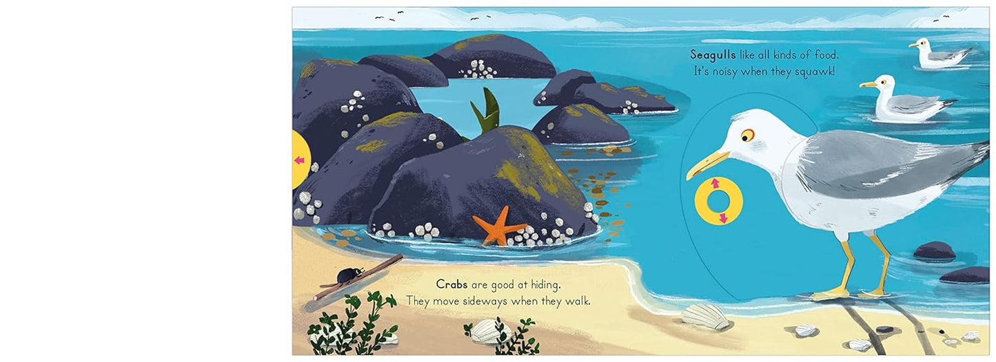 Big Outdoors for Little Explorers: Seaside