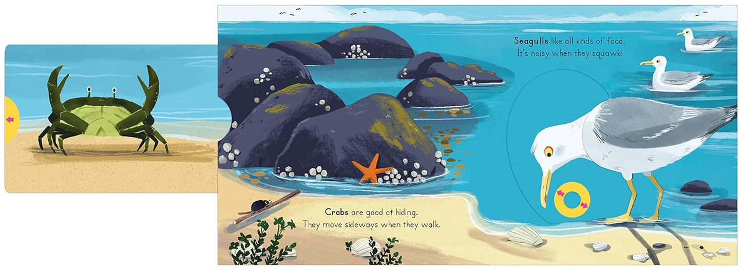 Big Outdoors for Little Explorers: Seaside