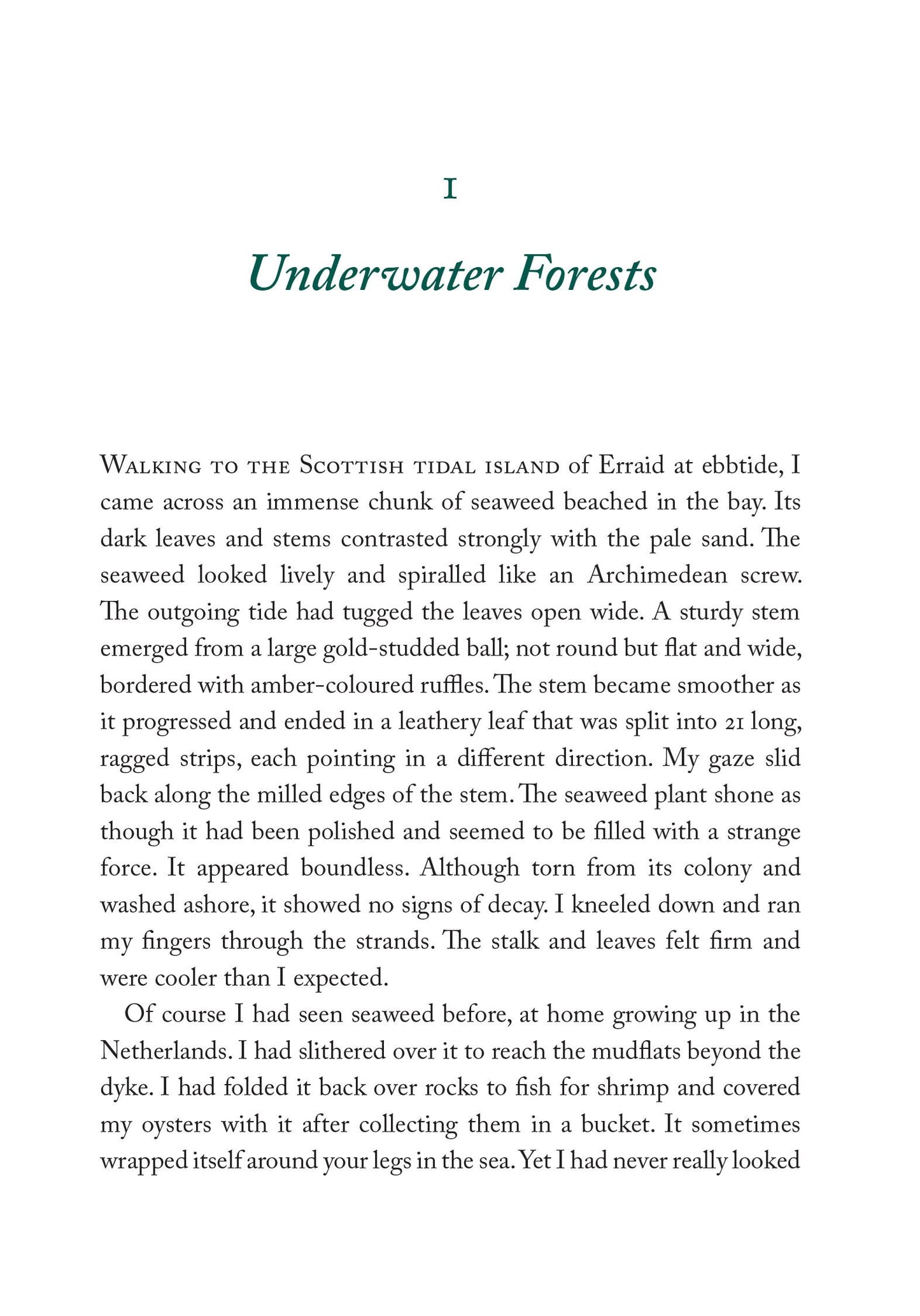 The Seaweed Collector's Handbook