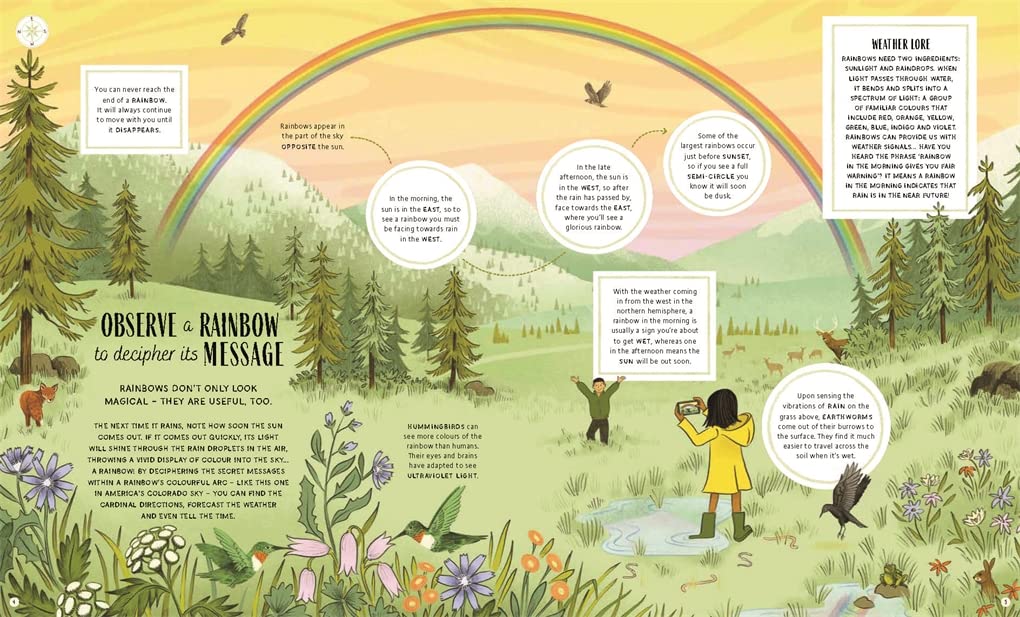 The Secret Signs of Nature