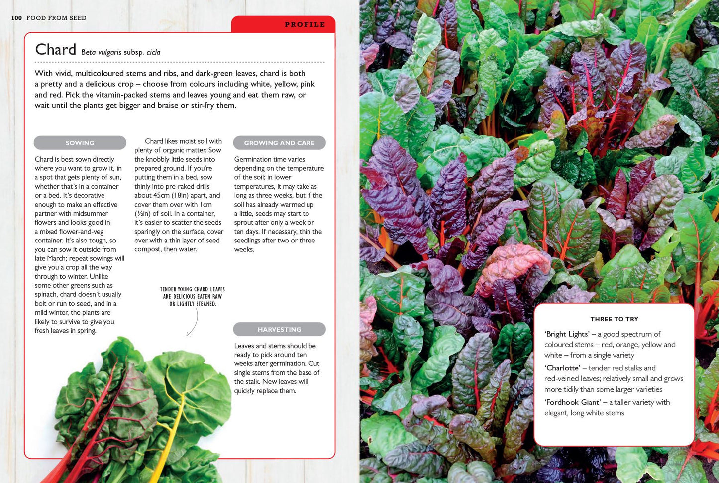 How to Grow Plants from Seeds (RHS)