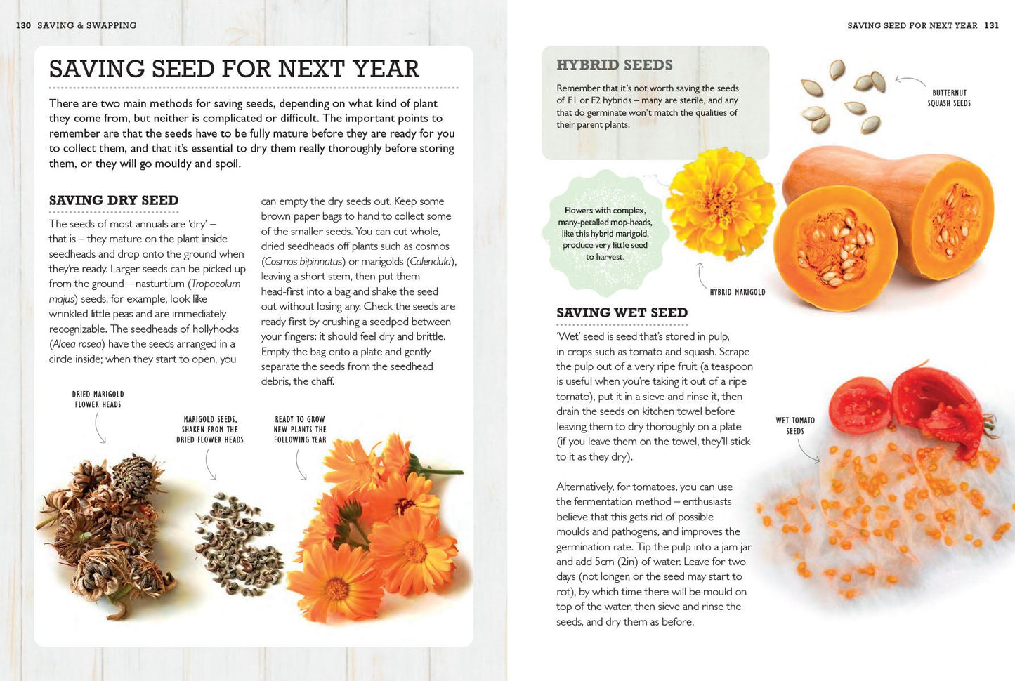 How to Grow Plants from Seeds (RHS)