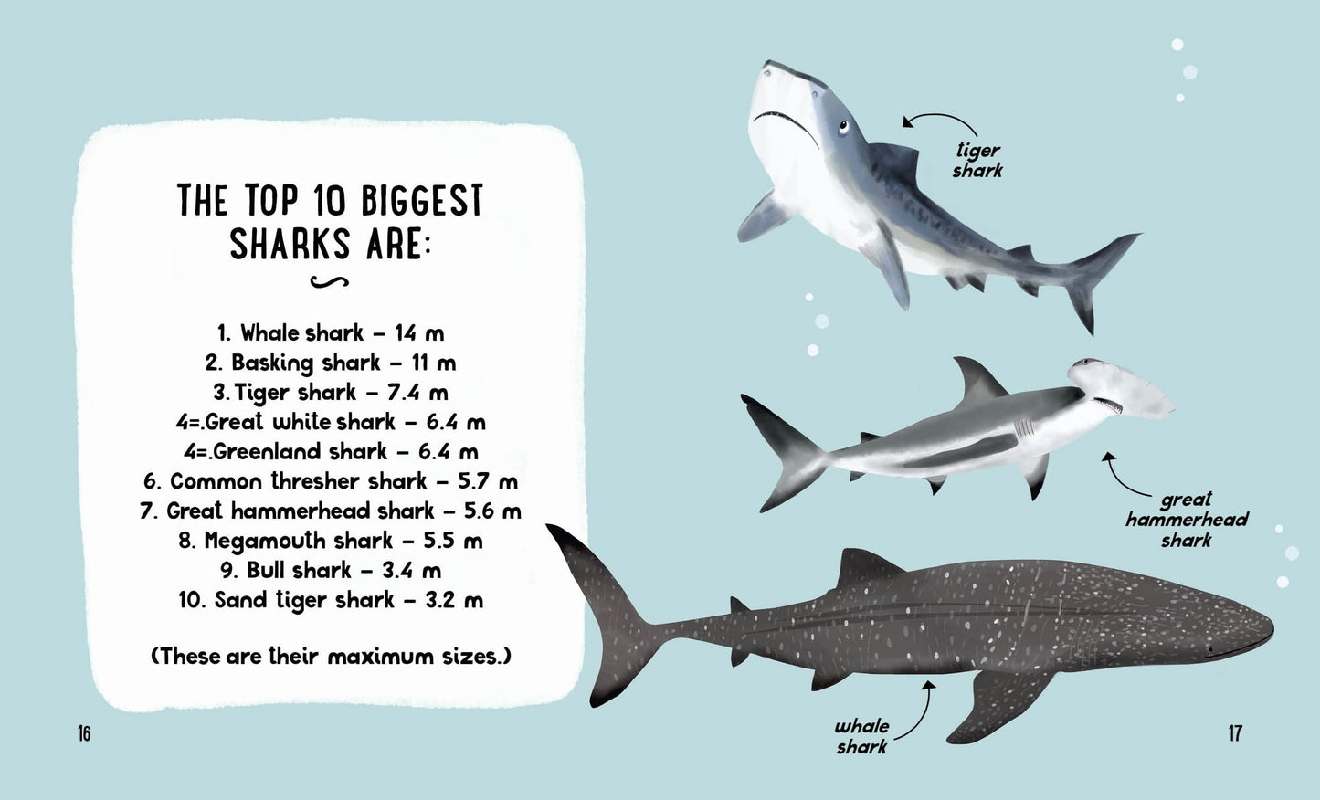 The Small and Mighty Book of Sharks: Pocket-sized books, MASSIVE facts!