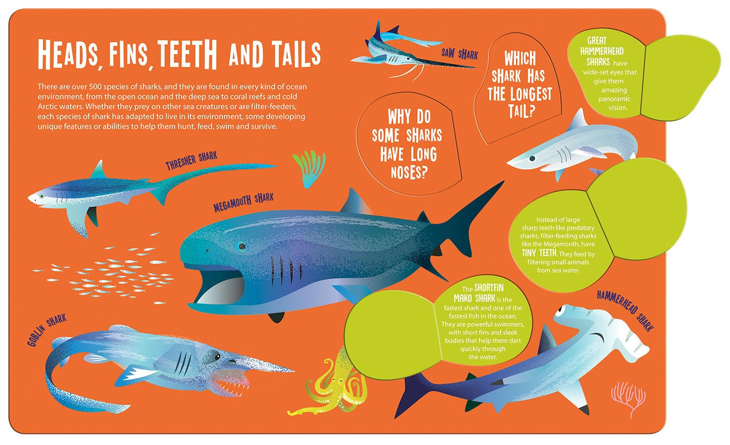 Magic Searchlight: Sharks