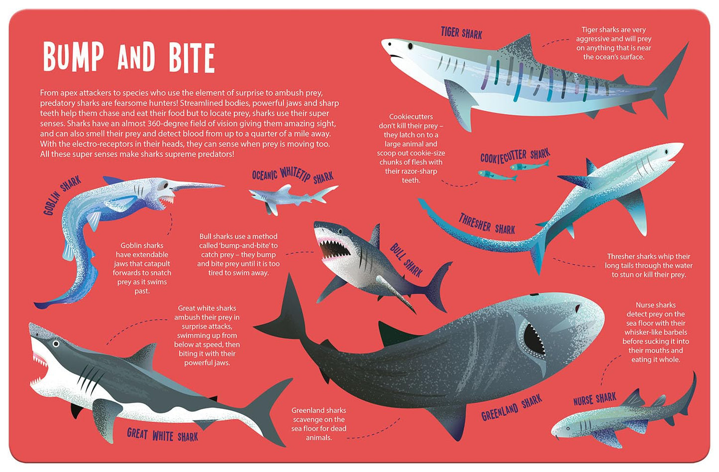 Magic Searchlight: Sharks