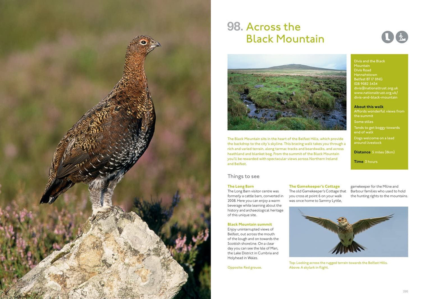Short Walks in Beautiful Places: 100 Great British Routes (National Trust)