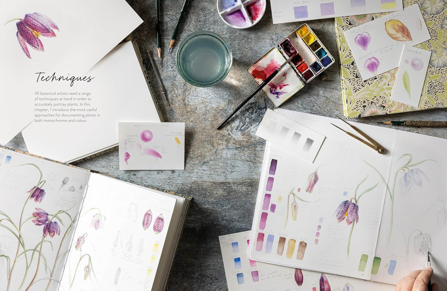 Sketching Nature: The Beginner’s Guide to Keeping a Botanical Sketchbook