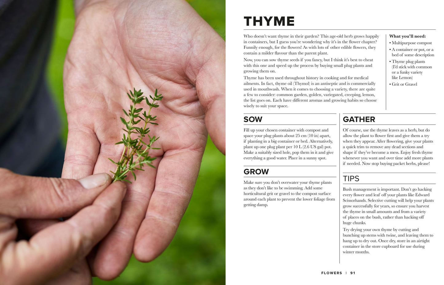 Sow Grow Gather: The Beginner’s Guide to Growing an Edible Garden