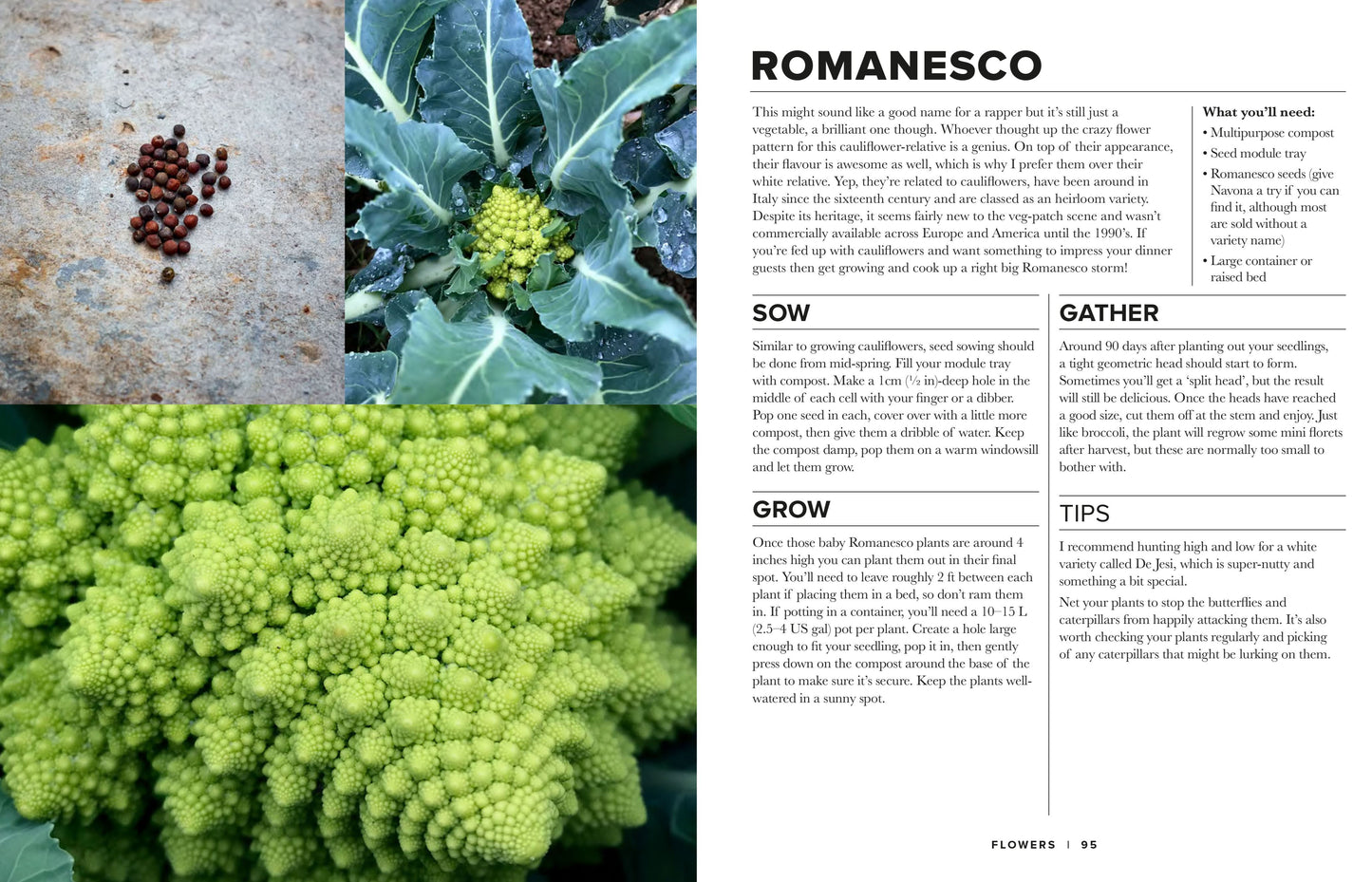 Sow Grow Gather: The Beginner’s Guide to Growing an Edible Garden