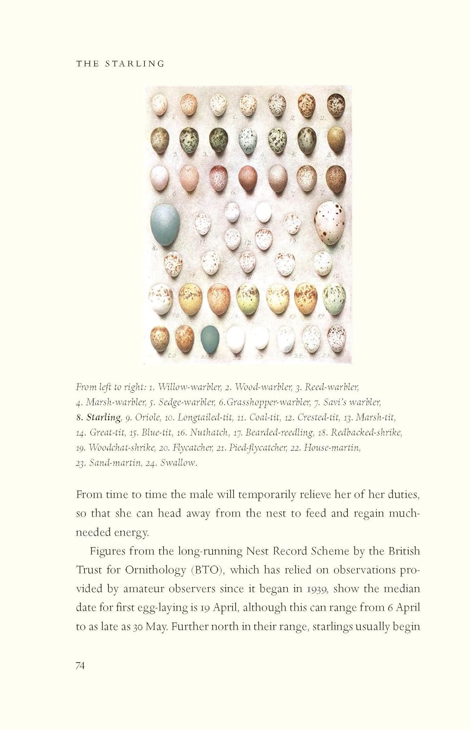 The Starling: A Biography - BBC Wildlife, *Books of the Year*