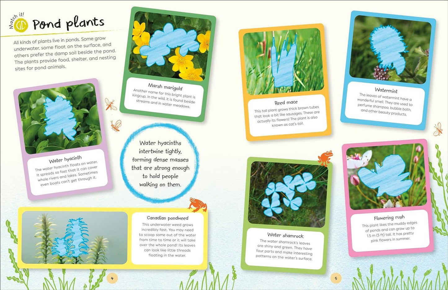 RHS Ultimate Sticker Book Garden Pond: New Edition with More Than 250 Stickers