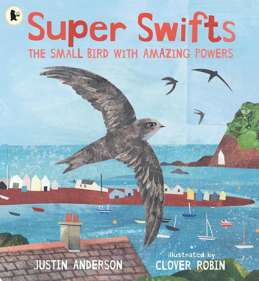 Super Swifts (Nature Storybooks)