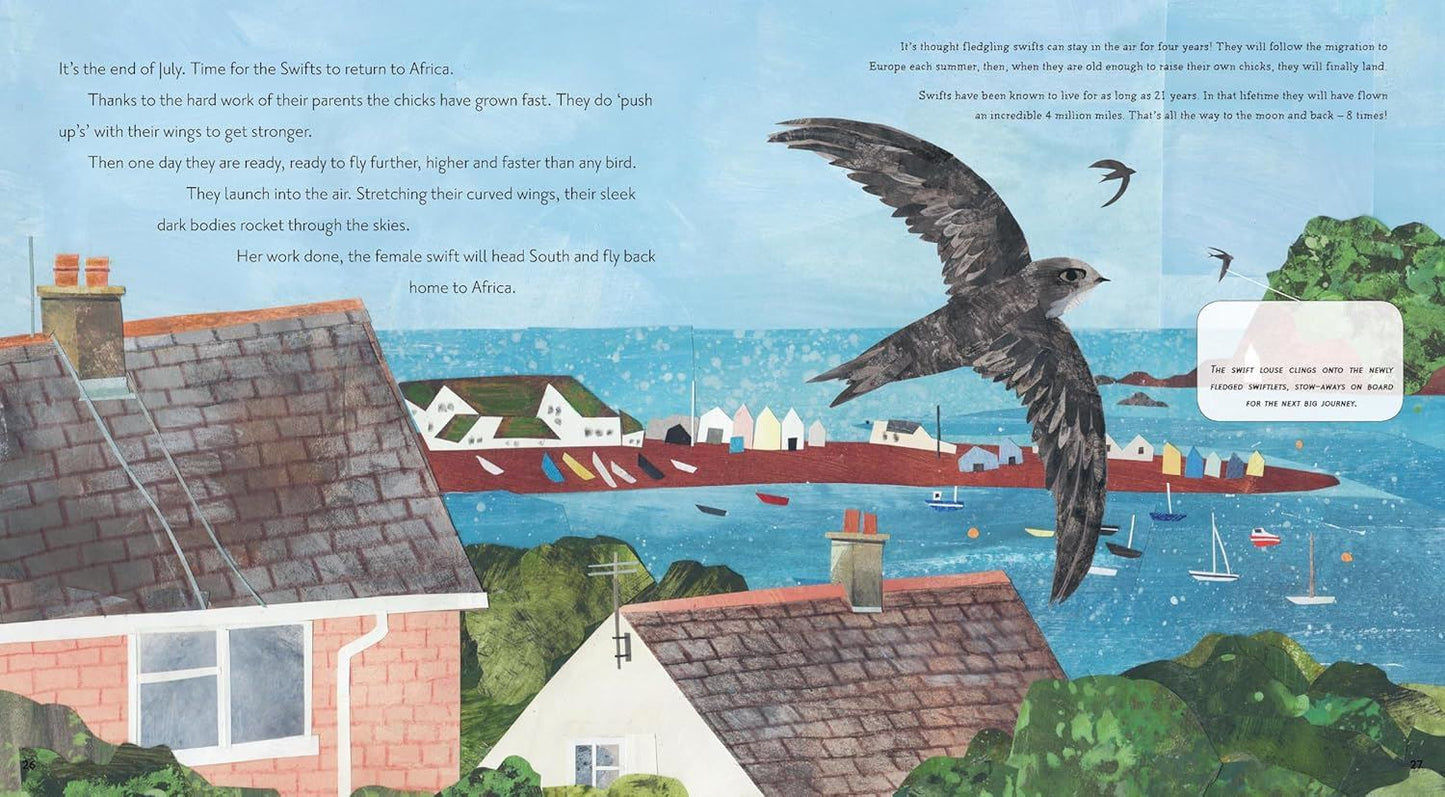 Super Swifts (Nature Storybooks)