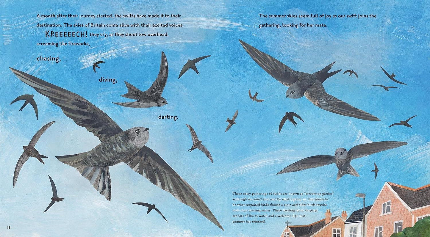 Super Swifts (Nature Storybooks)