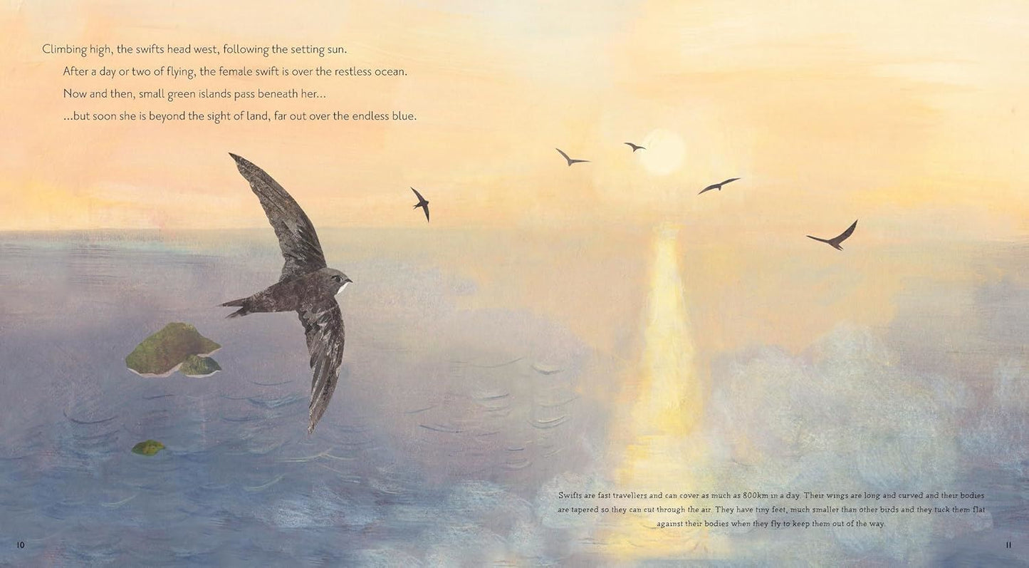 Super Swifts (Nature Storybooks)