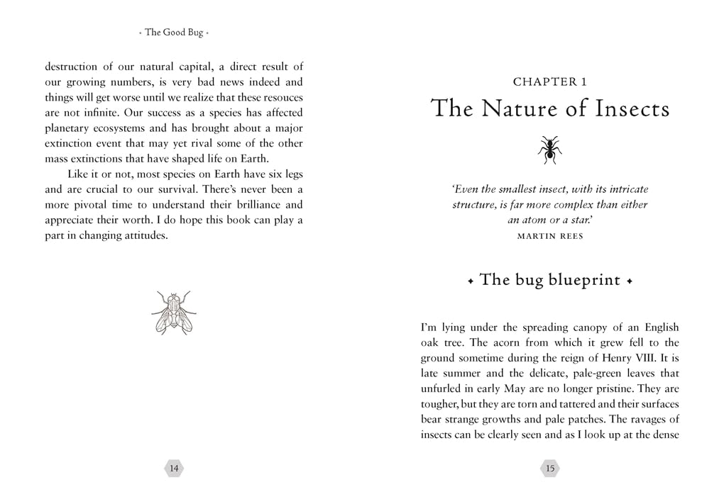 The Good Bug
