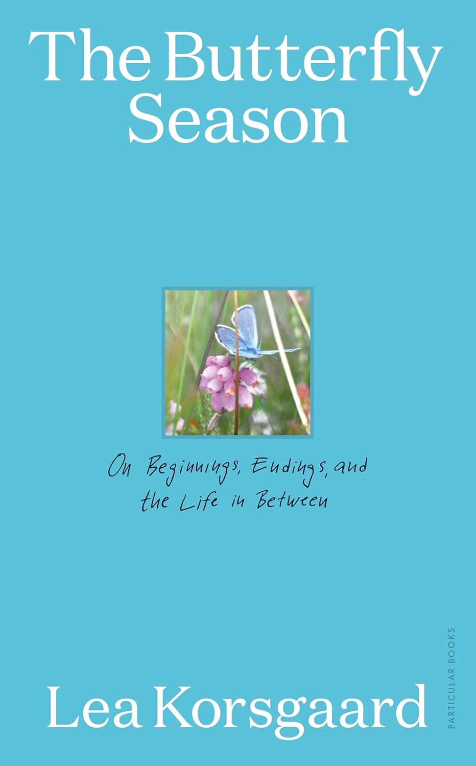 The Butterfly Season: On Beginnings, Endings, and the Life in Between