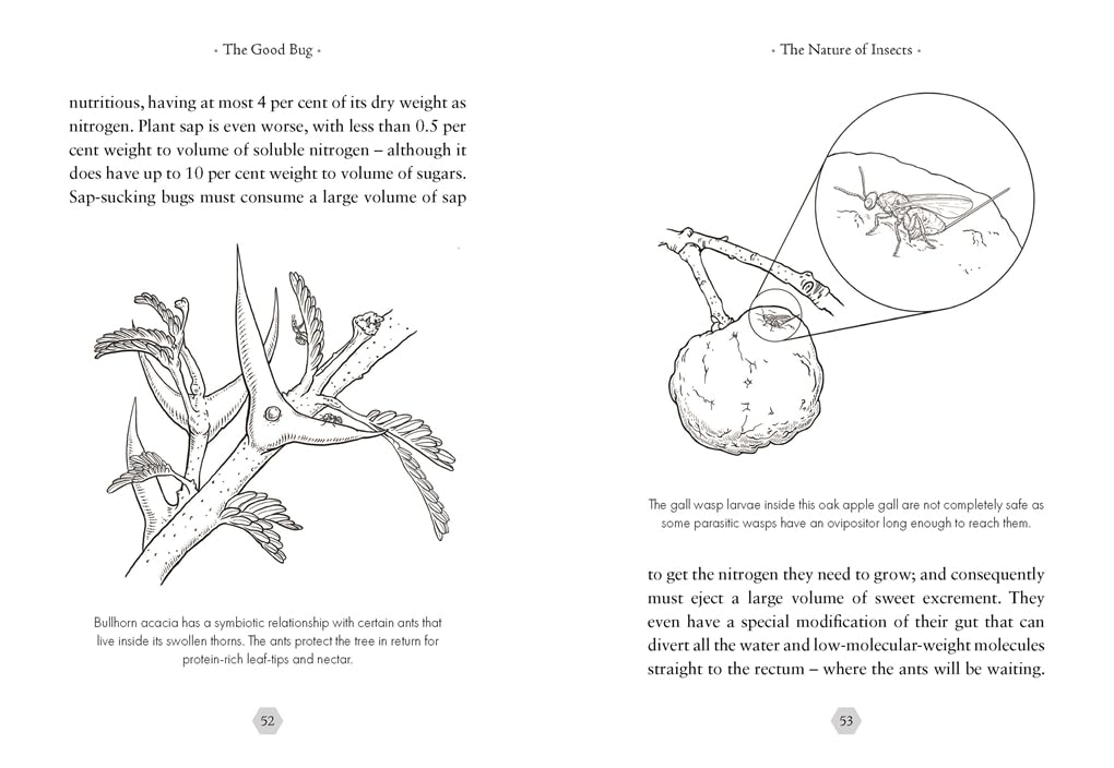 The Good Bug