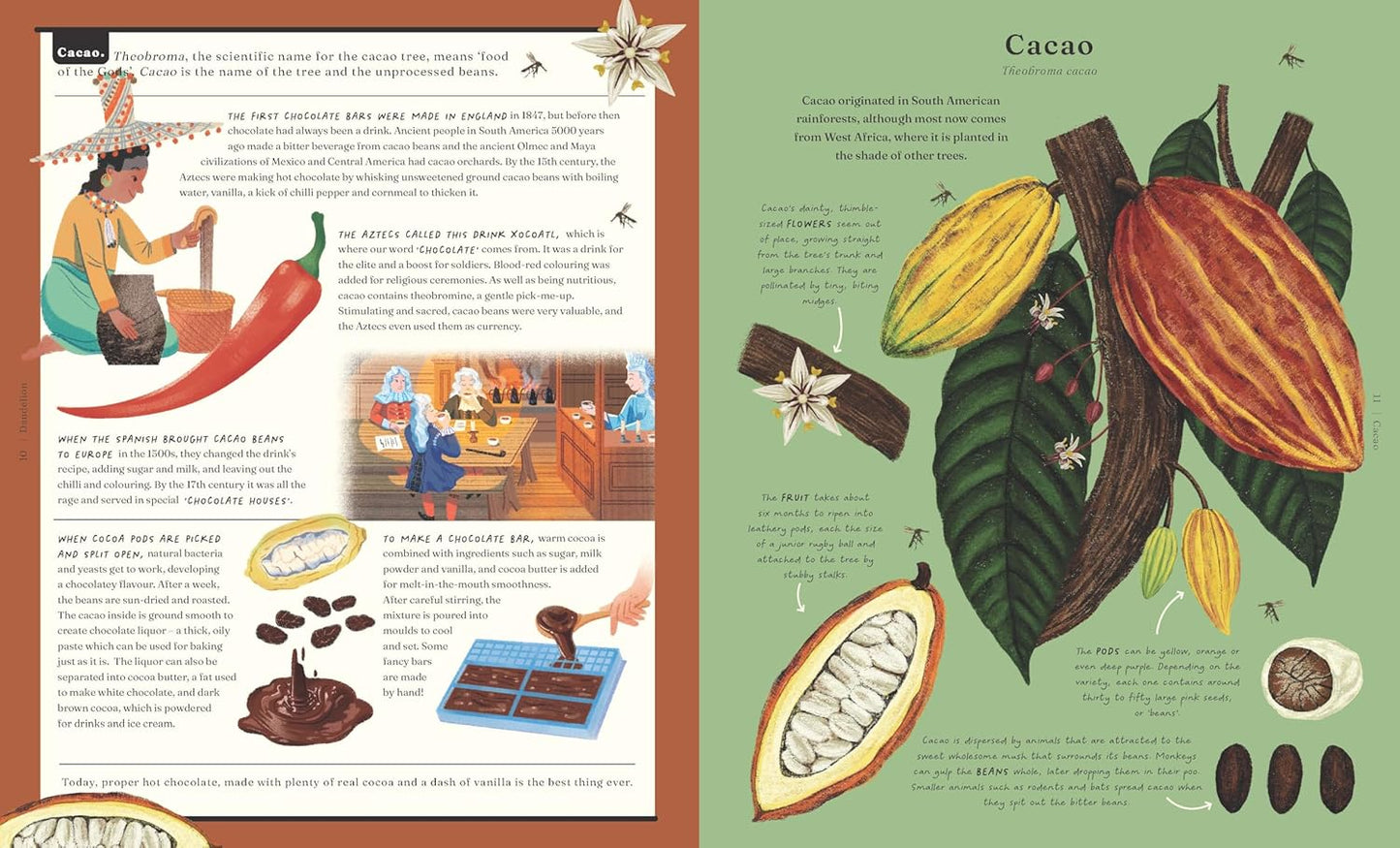 The Stuff that Stuff is Made of: Things We Make With Plants
