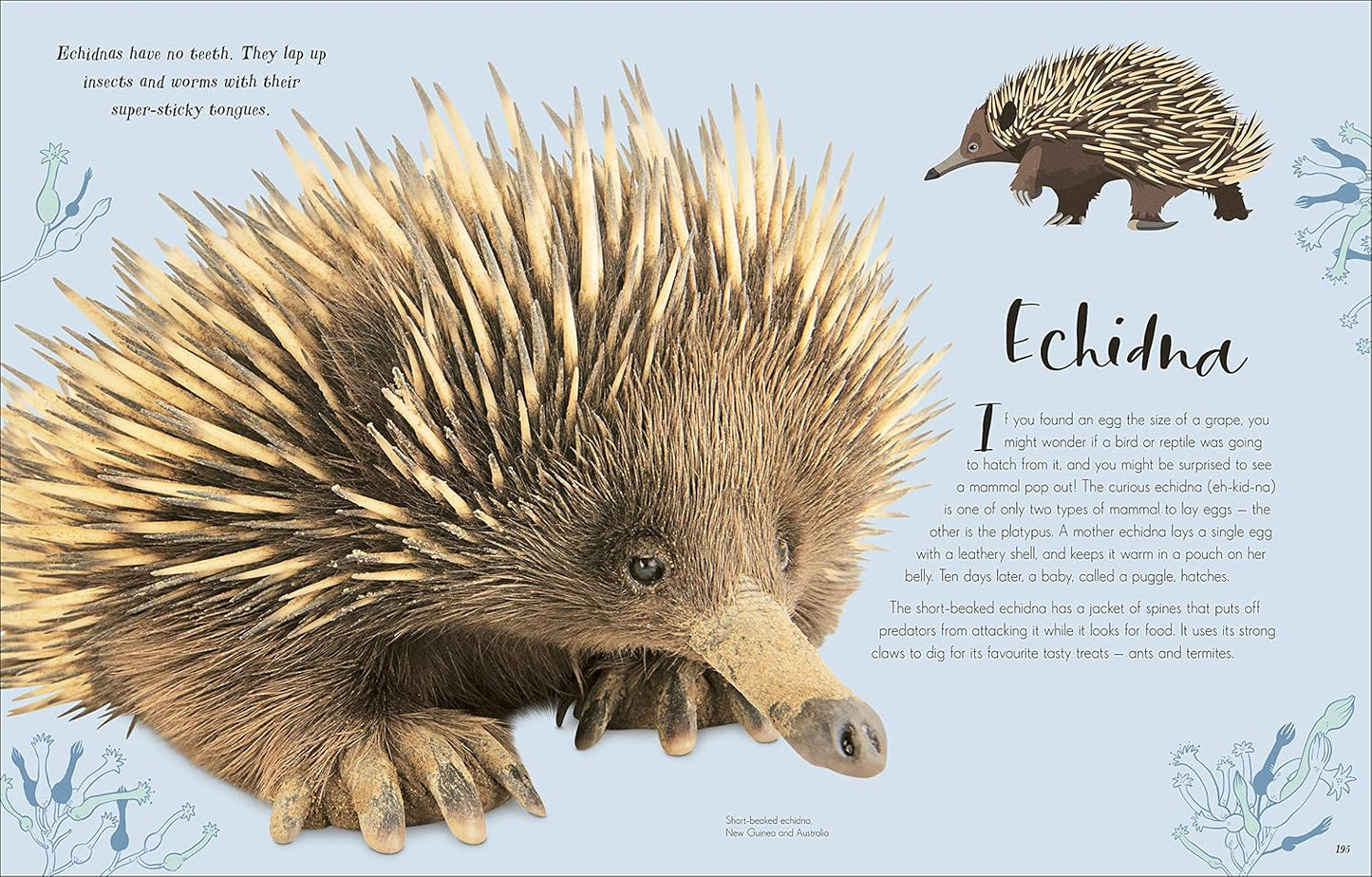The Wonders of Nature: Discover the Incredible Stories of the Natural World
