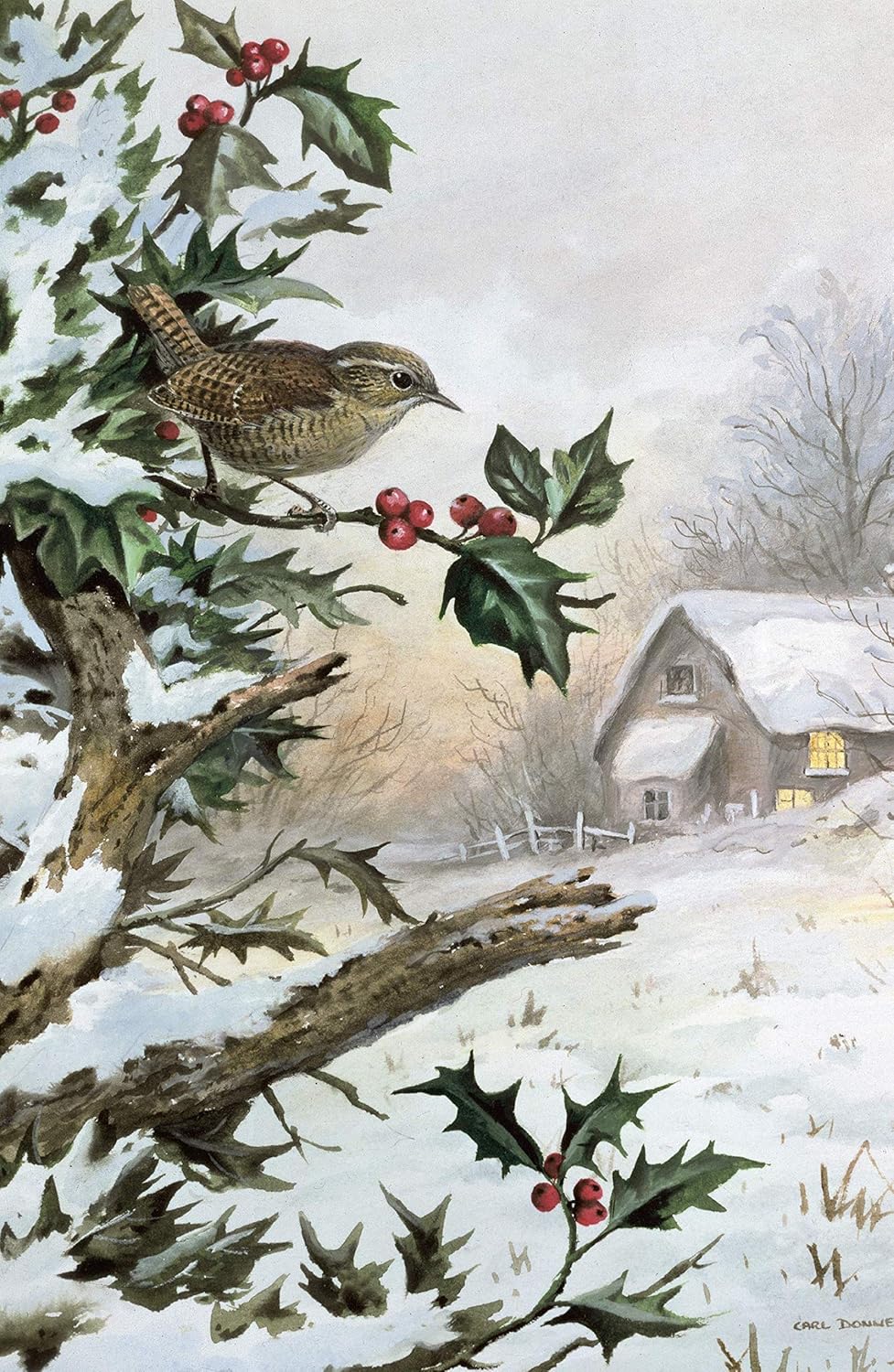 The Wren: A Biography, The perfect gift for bird lovers