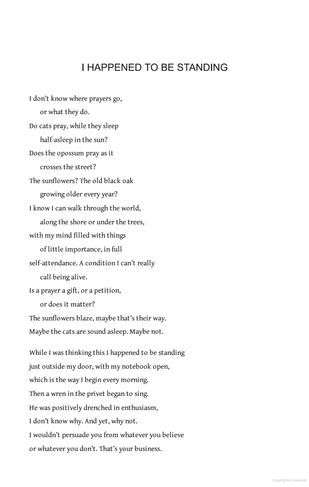 A Thousand Mornings