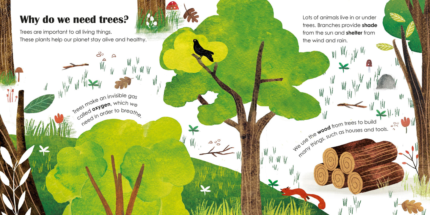 TREES: a lift the flap eco book