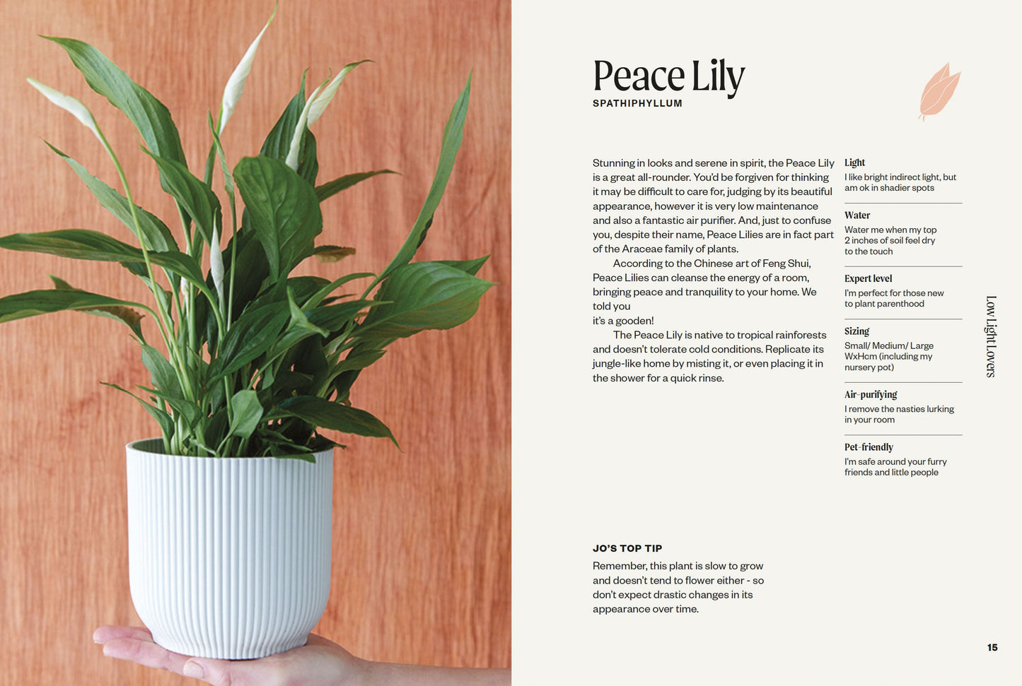 The Unkillables: 40 Resilient Houseplants