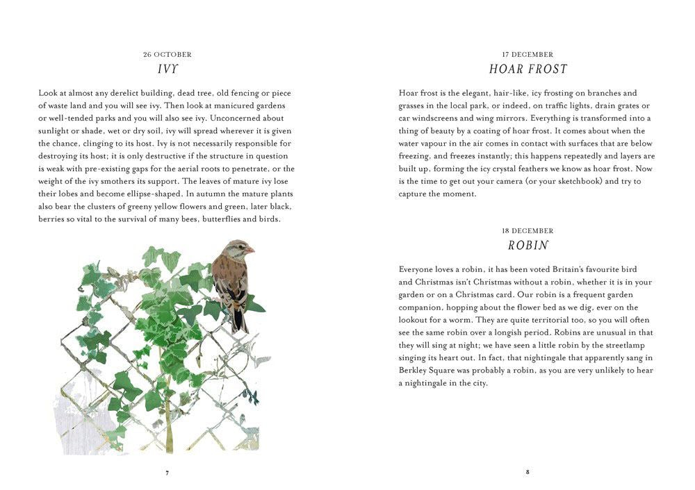 Urban Nature Every Day: Discover the natural world on your doorstep