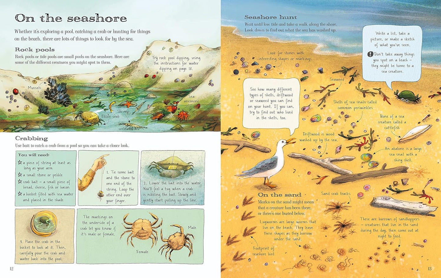The Usborne Outdoor Book