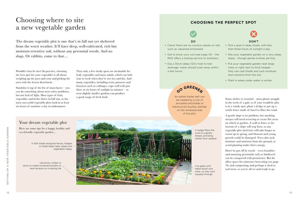 RHS Greener Gardening: Vegetables: The sustainable guide to growing planet-friendly crops
