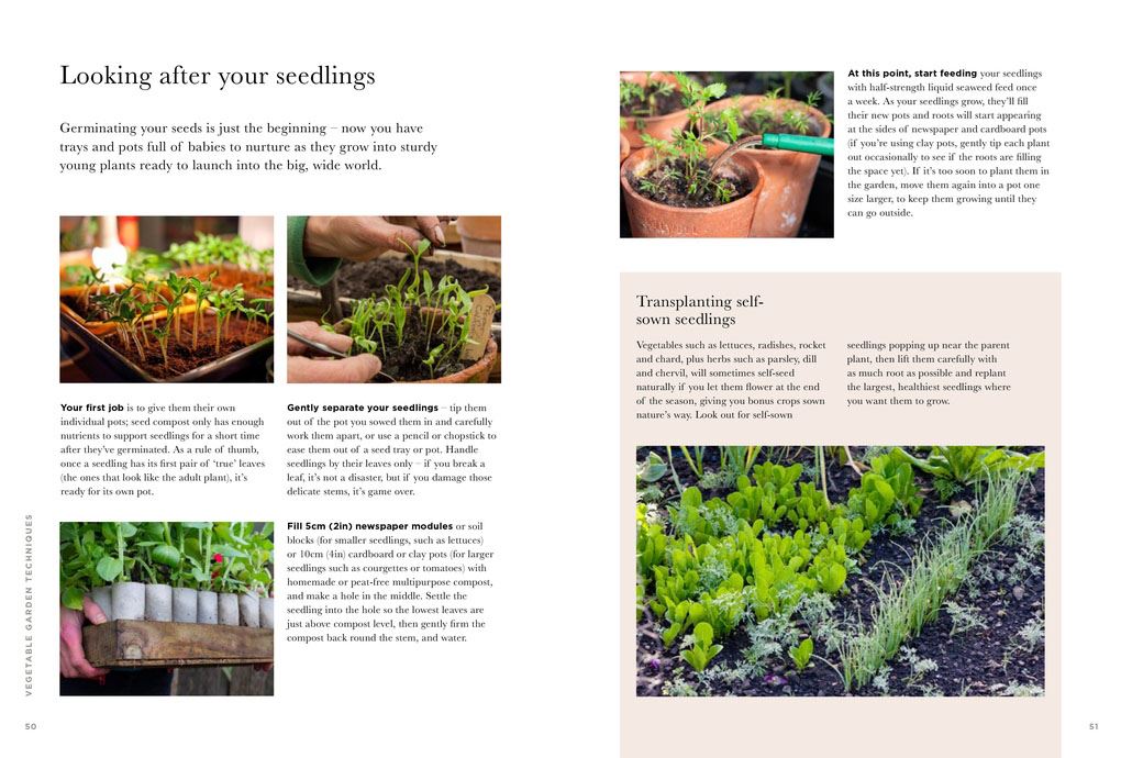 RHS Greener Gardening: Vegetables: The sustainable guide to growing planet-friendly crops