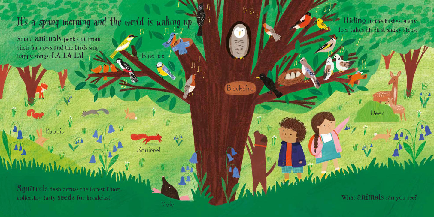 The Woodland Trust A Walk in the Woods: A Changing Seasons Story