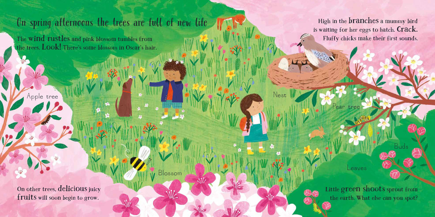 The Woodland Trust A Walk in the Woods: A Changing Seasons Story