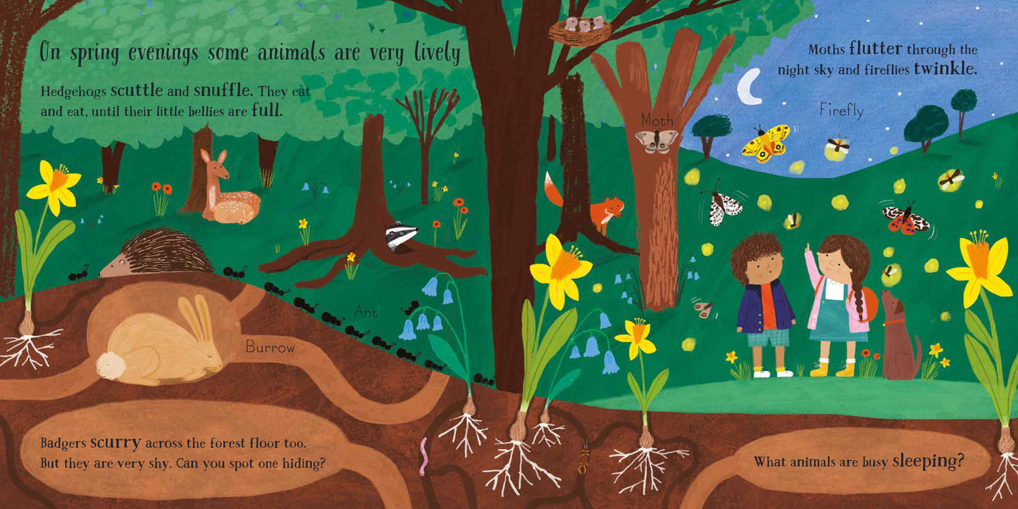 The Woodland Trust A Walk in the Woods: A Changing Seasons Story