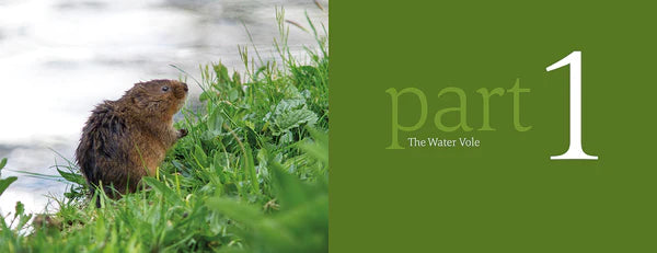 The Water Vole: The Story of One of Britain's Most Endangered Mammals