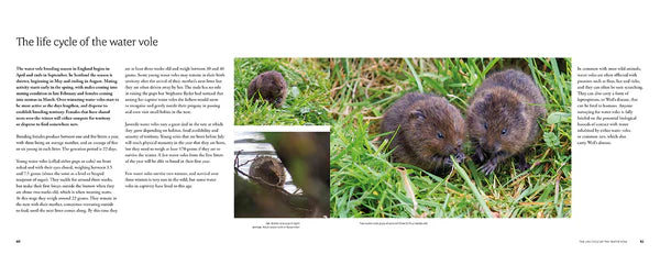 The Water Vole: The Story of One of Britain's Most Endangered Mammals