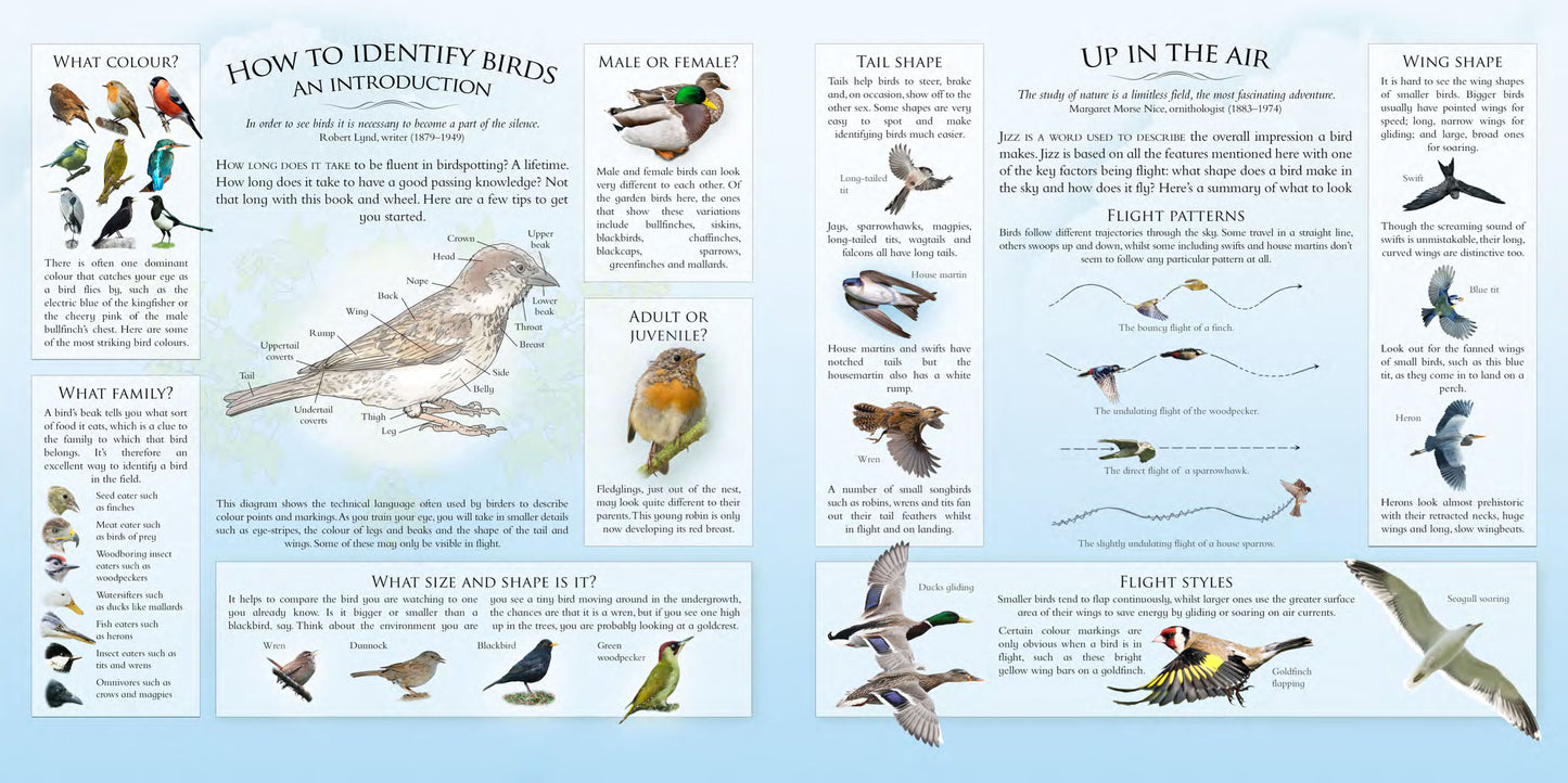 What's That Garden Bird?: Birdspotting Wheel and Guide Book