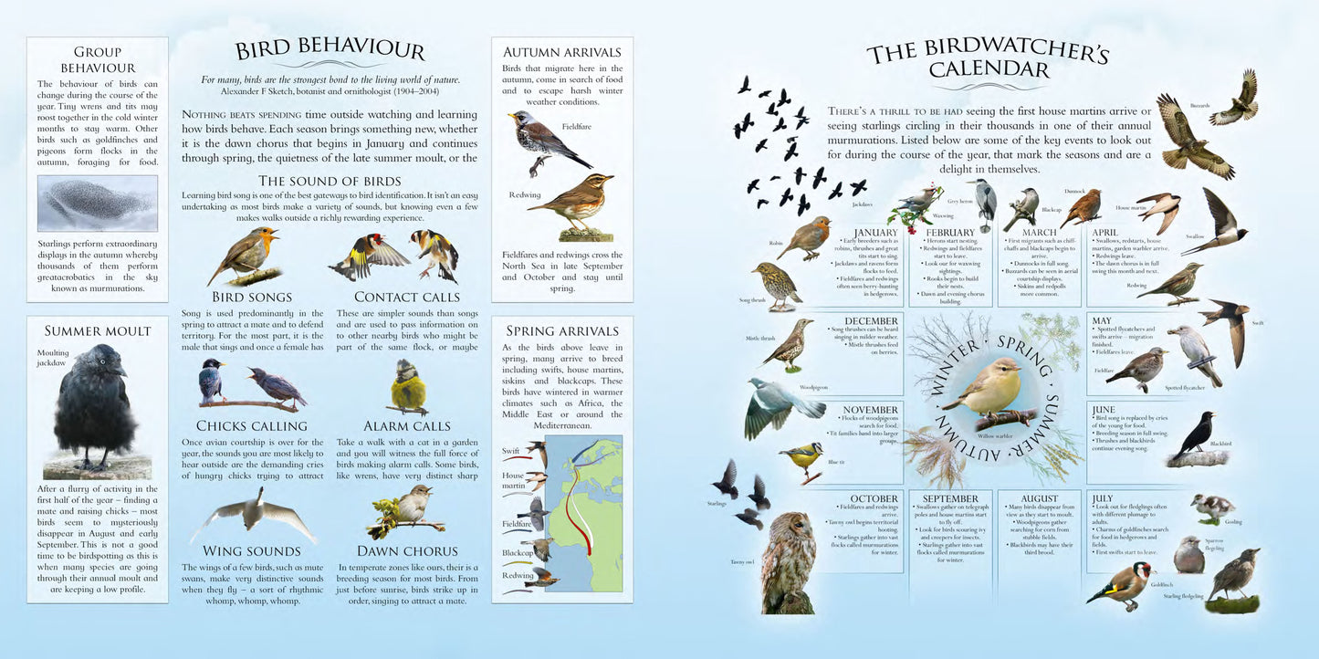 What's That Garden Bird?: Birdspotting Wheel and Guide Book