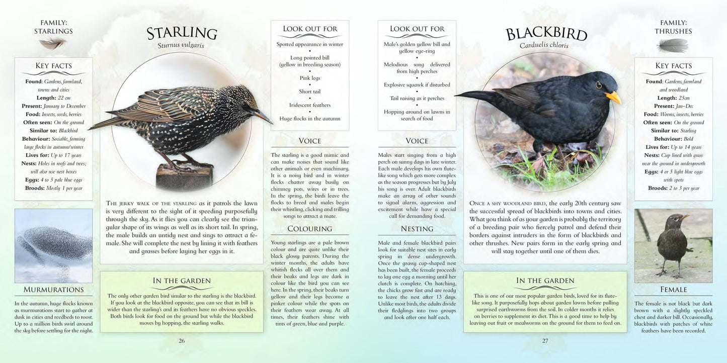 What's That Garden Bird?: Birdspotting Wheel and Guide Book