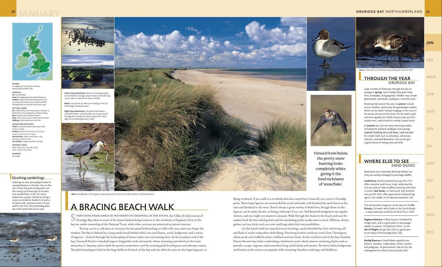 Where to Go Wild in the British Isles: A Month-by-Month Guide to the Best Nature Experiences