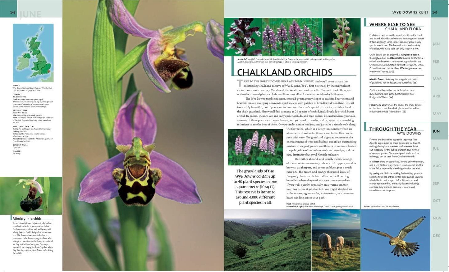 Where to Go Wild in the British Isles: A Month-by-Month Guide to the Best Nature Experiences