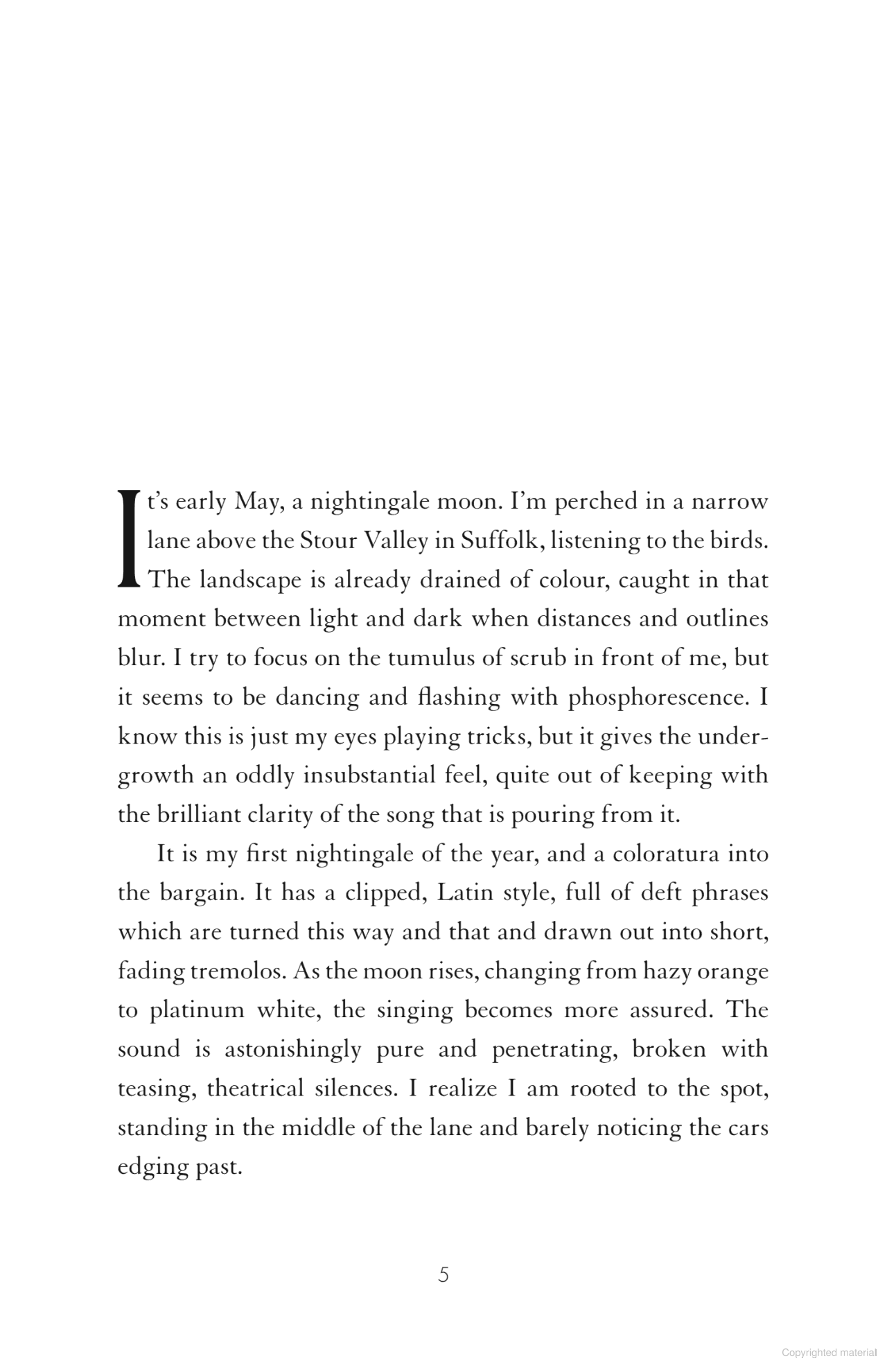 Whistling in the Dark: In Pursuit of the Nightingale