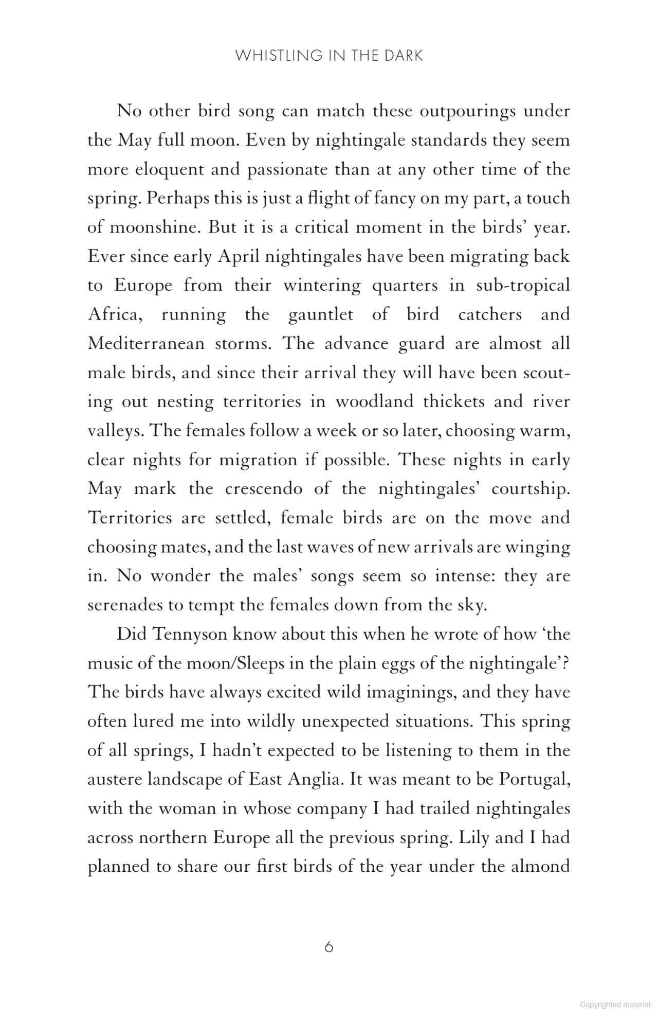 Whistling in the Dark: In Pursuit of the Nightingale