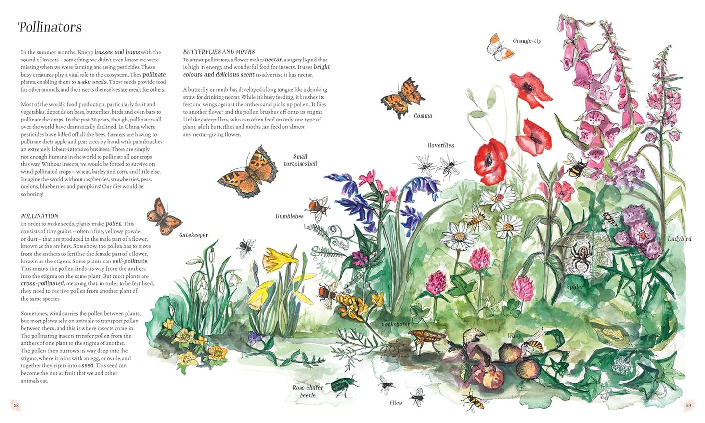 Wilding: How to Bring Wildlife Back - an Illustrated Guide