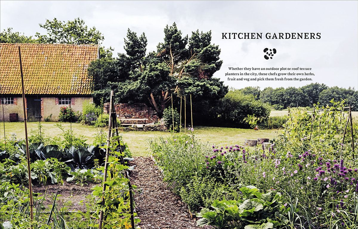 Wild Kitchen: Nature-Loving Chefs at Home