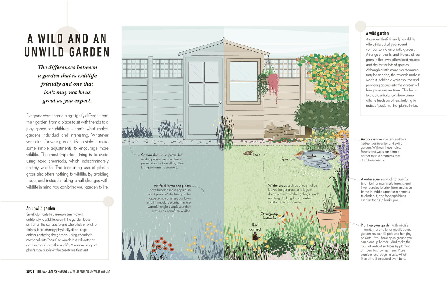 How to Attract Wildlife to Your Garden